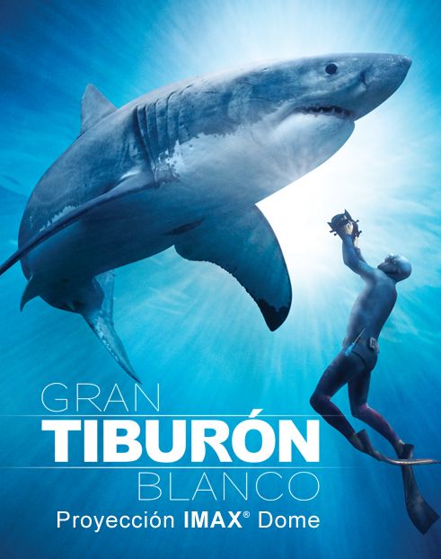 Tiburón  Blanco cover image